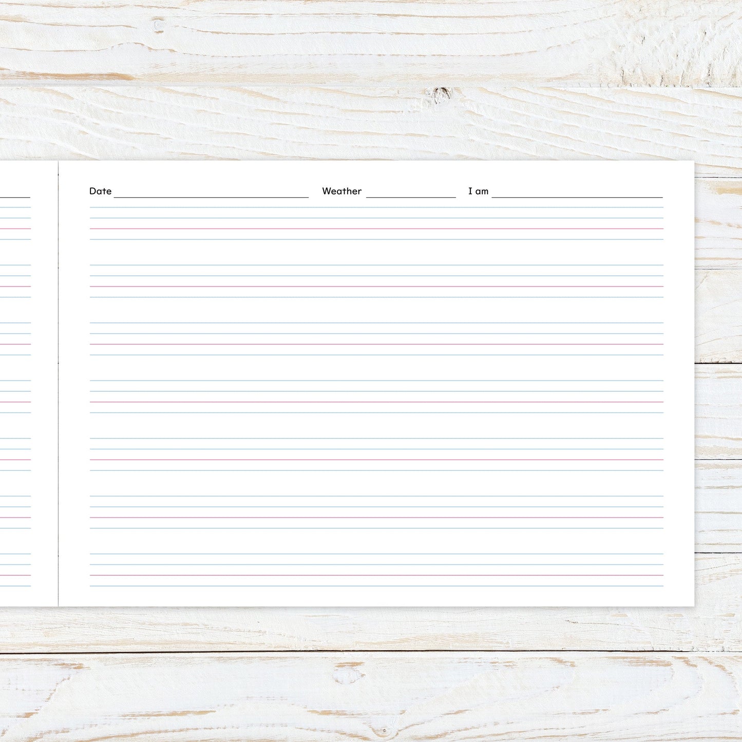 小学生向け 英語 ノート (英習罫・7段) 10冊パック NOTEBOOK